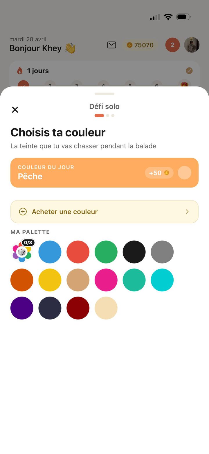 Choix de la couleur