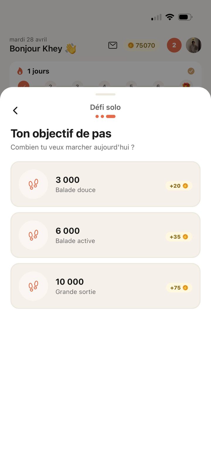 Objectif de pas